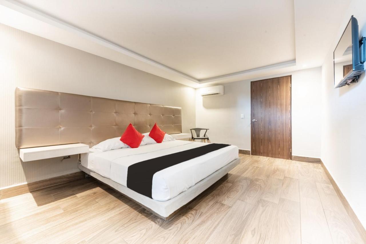 Hotel 202 Monterrey Extérieur photo