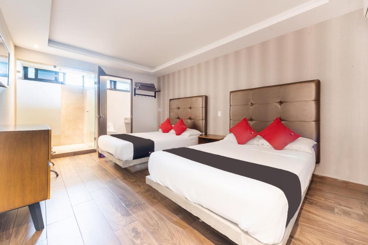 Hotel 202 Monterrey Extérieur photo