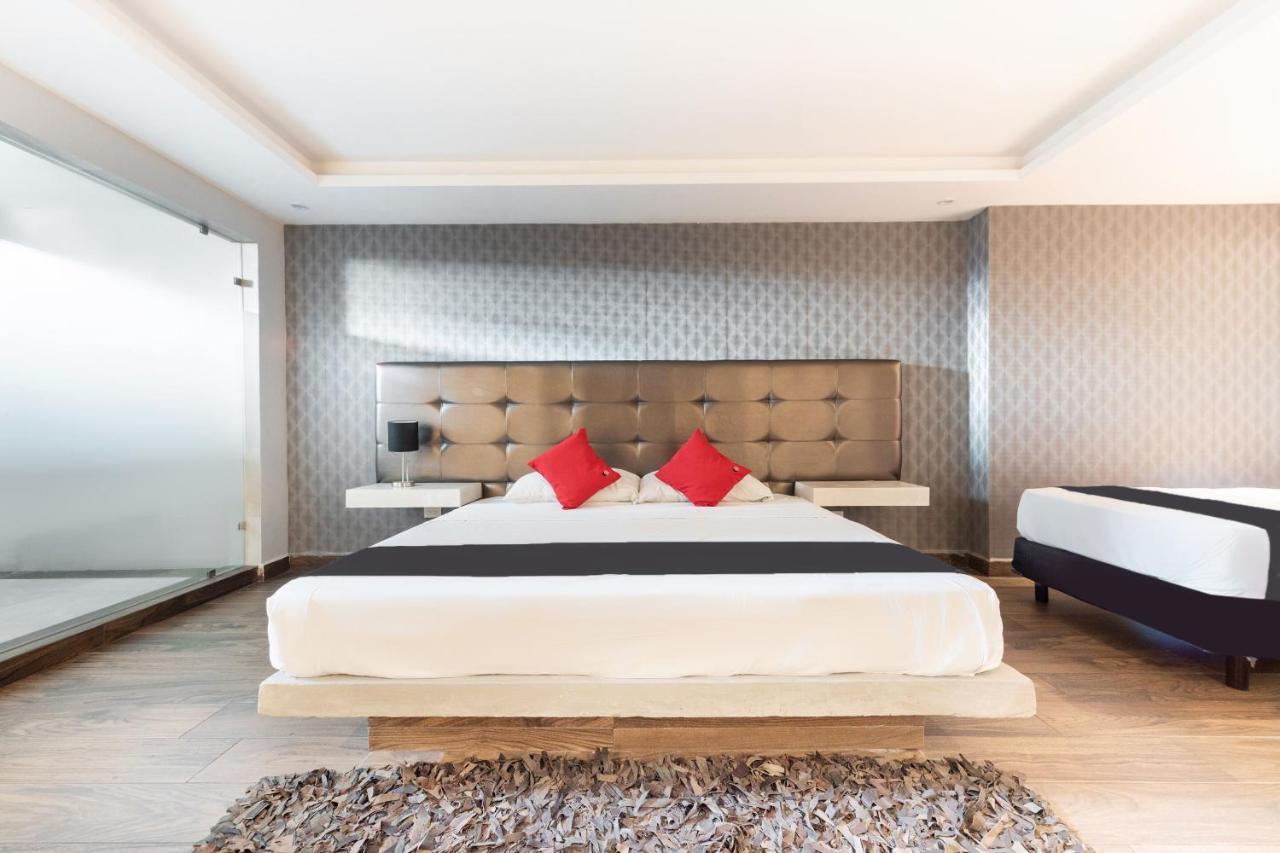 Hotel 202 Monterrey Extérieur photo