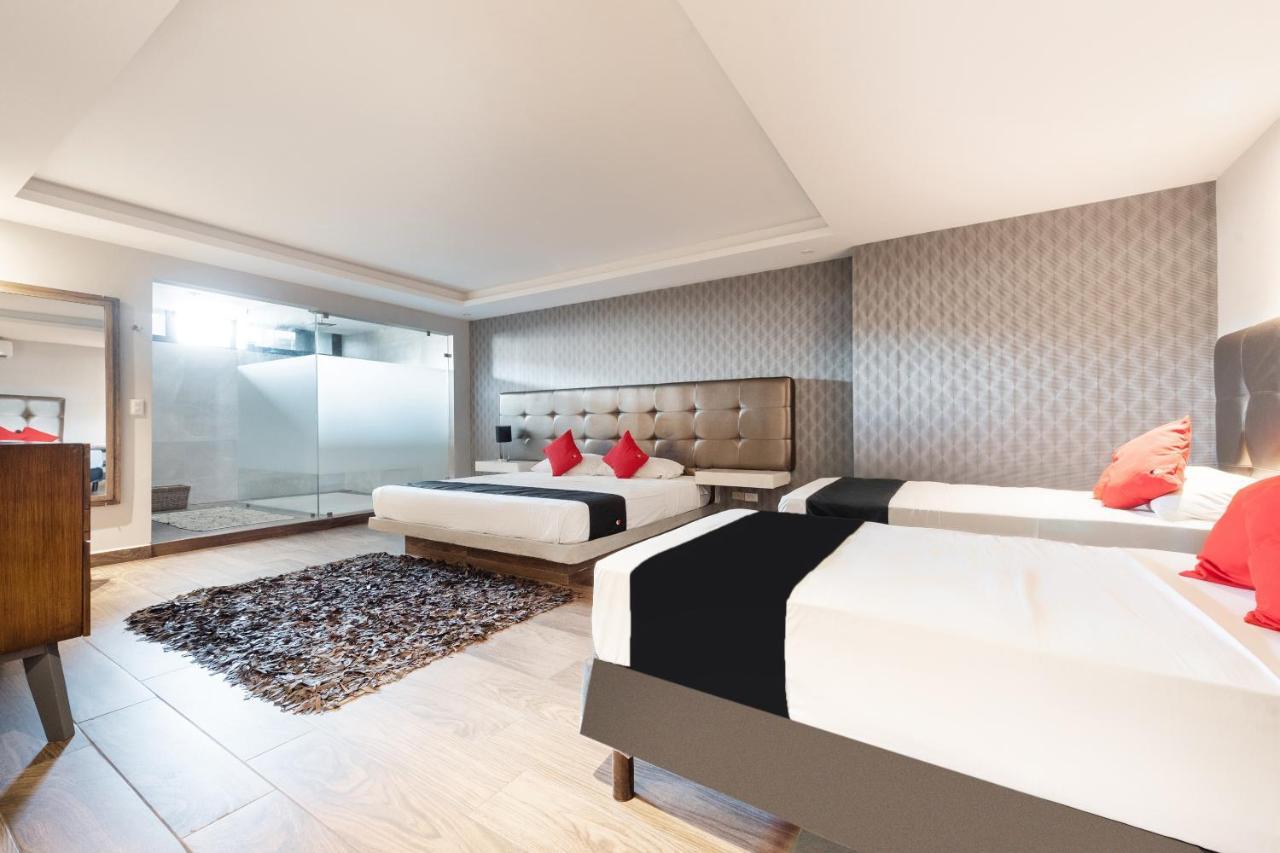 Hotel 202 Monterrey Extérieur photo