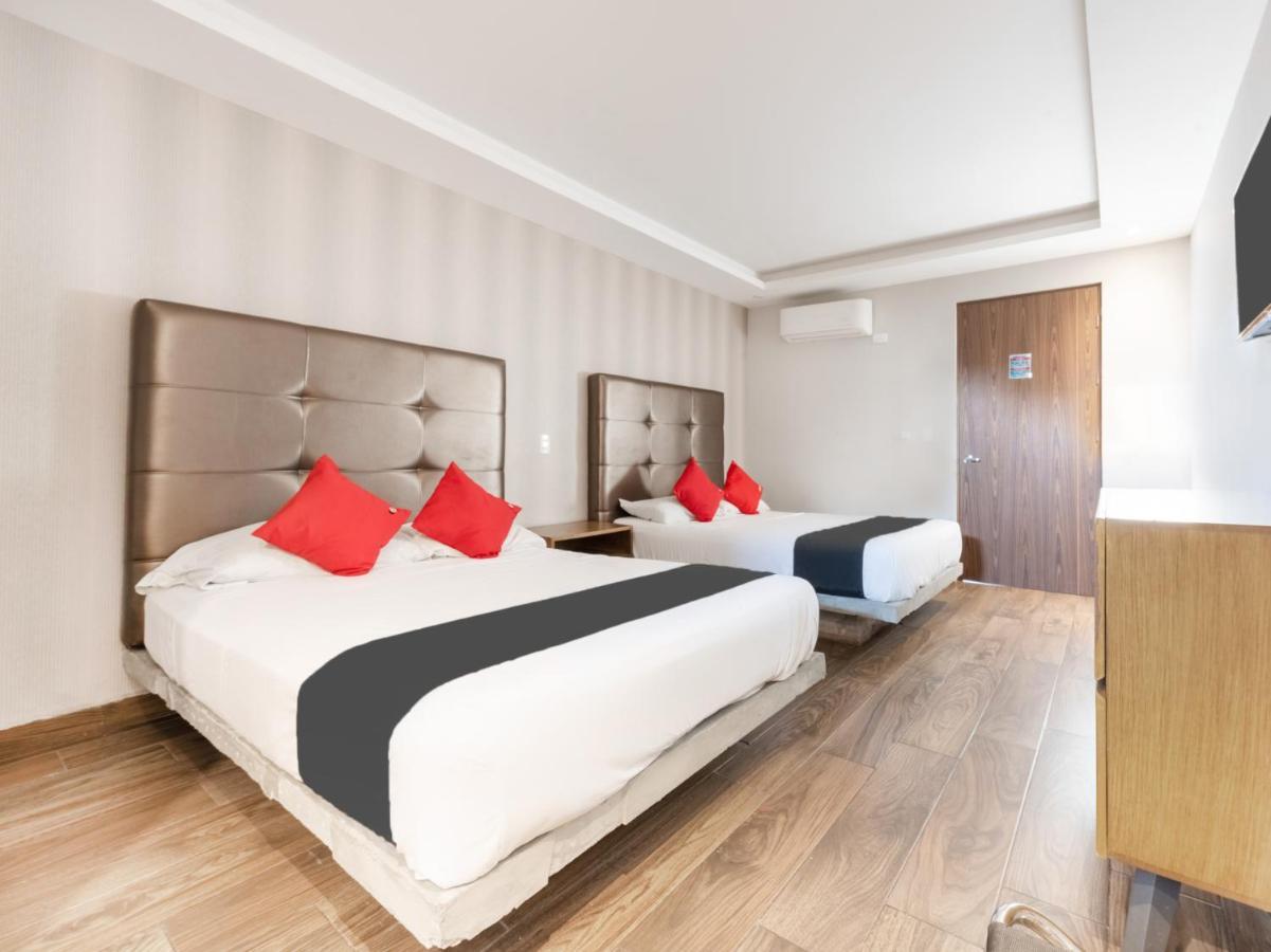 Hotel 202 Monterrey Extérieur photo
