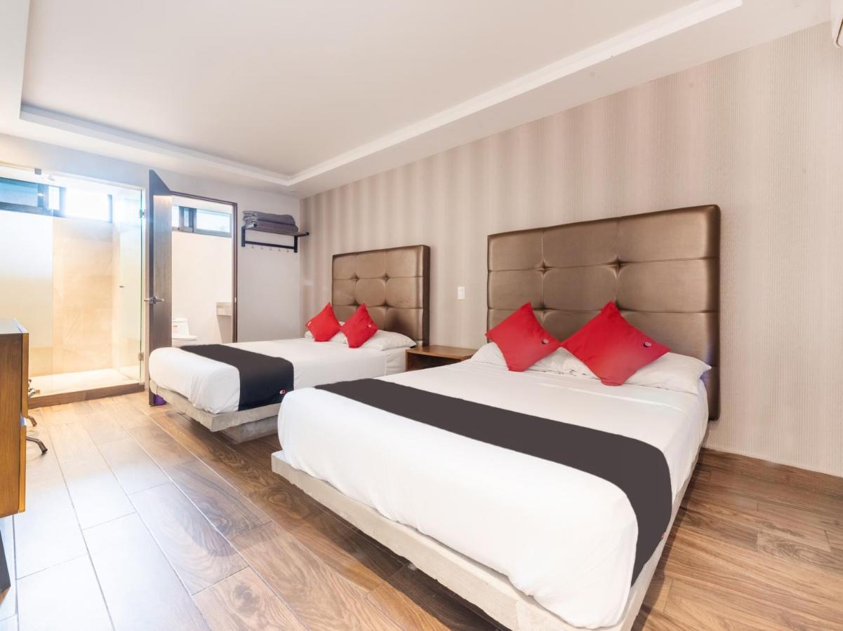 Hotel 202 Monterrey Extérieur photo